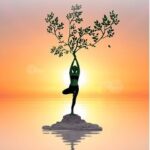 intuïtieve coaching